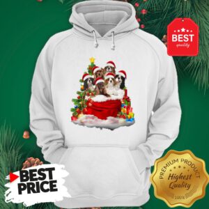 Cavalier King Charles Spaniel Santa Claus Christmas Hoodie