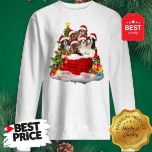 Cavalier King Charles Spaniel Santa Claus Christmas Sweatshirt