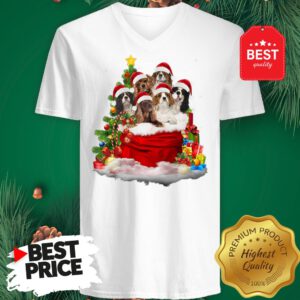Cavalier King Charles Spaniel Santa Claus Christmas V-Neck