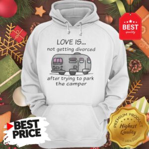 Funny Love Is Not Getting Divorced After Trying To Park The Camper Version Hoodie