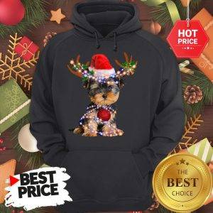 Funny Yorkie Christmas Reindeer Antlers Snow Gift Hoodie