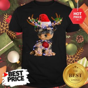 Funny Yorkie Christmas Reindeer Antlers Snow Gift Shirt