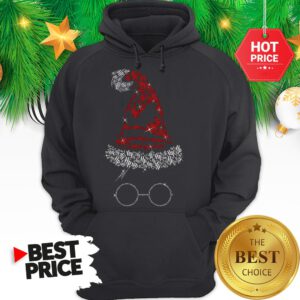 Official Harry Potter Harry Hat Xmas Diamond Christmas Tee Hoodie