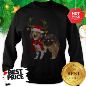 Official Sheltie Gorgeous Reindeer Light Christmas Sweatshirt