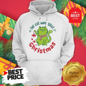 Pretty The Cat Who Stole Christmas Holiday Purresents Cartoon Funny Hoodie