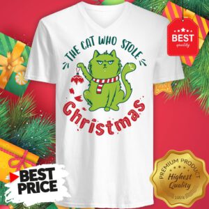 Pretty The Cat Who Stole Christmas Holiday Purresents Cartoon Funny V-Neck