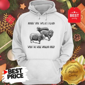 Really Sorry For What I Said When We Were Working Sheep Hoodie