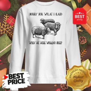 Really Sorry For What I Said When We Were Working Sheep Sweatshirt