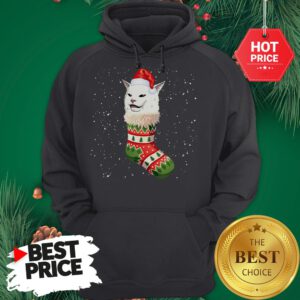 Cat Ugly Christmas Cat In Stocking Ugly Christmas Kids Hoodie