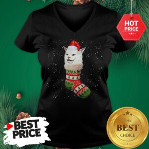 Cat Ugly Christmas Cat In Stocking Ugly Christmas Kids V-Neck