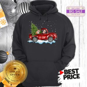 Funny Pitbull Dog Pickup Truck Christmas Hoodie