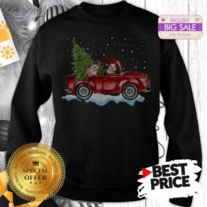 Funny Pitbull Dog Pickup Truck Christmas Sweatshirt