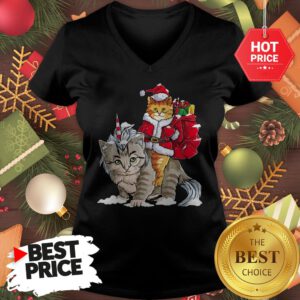Official Funny Santa Riding Cat Ugly Sweater Christmas Gift V-Neck