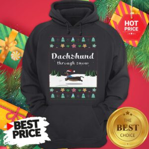 Official Santa Dachshund Through Snow Ugly Christmas Hoodie