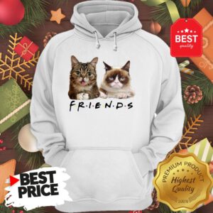 Pretty Grumpy And Lil Bub Cats Friends TV Show Hoodie