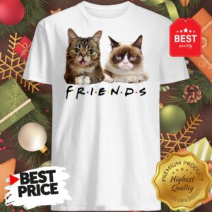 Pretty Grumpy And Lil Bub Cats Friends TV Show Shirt