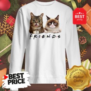 Pretty Grumpy And Lil Bub Cats Friends TV Show Sweatshirt