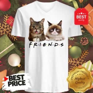 Pretty Grumpy And Lil Bub Cats Friends TV Show V-neck
