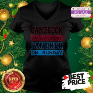 Top Gamecock On Saturday Panther On Sunday V-Neck