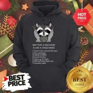 Ways That A Raccoon Is Like A Stagehand Hoodie