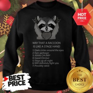 Ways That A Raccoon Is Like A Stagehand Sweatshirt