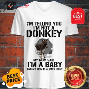 I’m Telling You I’m Not A Donkey My Mom Said I’m A Baby My Mom V-Neck