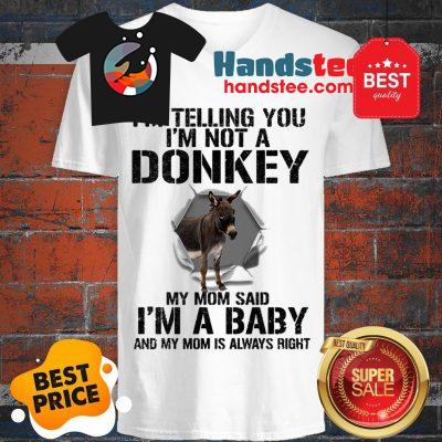 I’m Telling You I’m Not A Donkey My Mom Said I’m A Baby My Mom V-Neck