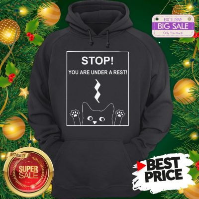 Stop You Are Under A Rest Funny Symbol Music Notes Musician Hoodie