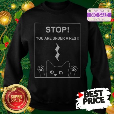 Stop You Are Under A Rest Funny Symbol Music Notes Musician Sweatshirt