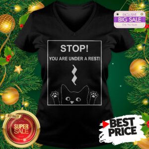 Stop You Are Under A Rest Funny Symbol Music Notes Musician V-neck