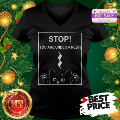 Stop You Are Under A Rest Funny Symbol Music Notes Musician V-neck