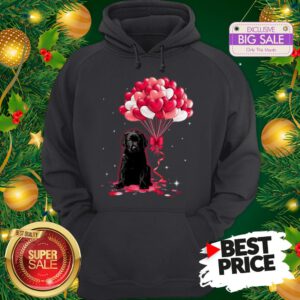 The Pretty Black Labrador Dog Love Balloons Heart Hoodie
