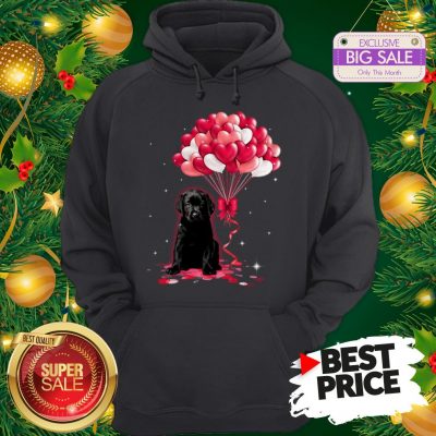 The Pretty Black Labrador Dog Love Balloons Heart Hoodie