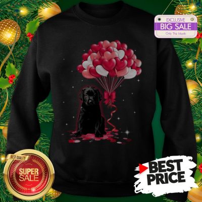 The Pretty Black Labrador Dog Love Balloons Heart Sweatshirt