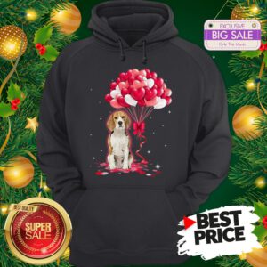 Wonderful Beagle Dog Love Balloons Heart Hoodie