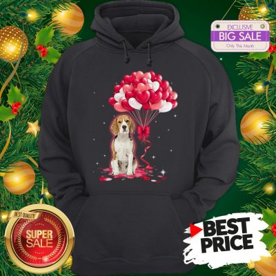 Wonderful Beagle Dog Love Balloons Heart Hoodie