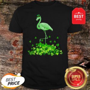 Funny Flamingo St Patricks Day Women Irish Flamingo Shirt