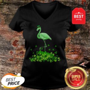Funny Flamingo St Patricks Day Women Irish Flamingo V-Neck