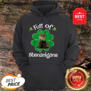 Full Of Shenanigans Ferret St Patrick’s Day Gifts Hoodie