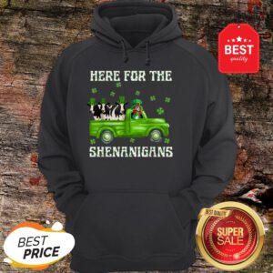 Here For The Shenanigans Leprechaun Cow St Patrick’s Day Hoodie