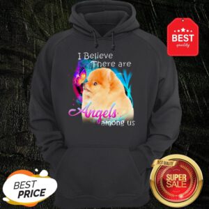Pomeranian I Believe There Are Angels Among Us Hoodie