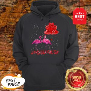 Official Flamingos Valentine Balloon 2020 Hoodie