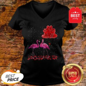 Official Flamingos Valentine Balloon 2020 v-neck