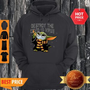 Baby Yoda Mashup Harry Potter Destroy The Covid-19 Virus Hoodie