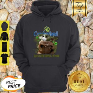 Baby Yoda Cumberland Survived Covid-19 2020 Hoodie