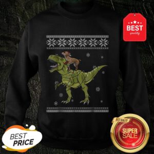 Beautiful Chihuahua Riding T Rex Dinosaur Christmas Light Xmas Sweatshirt