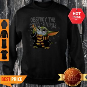 Baby Yoda Mashup Harry Potter Destroy The Covid-19 Virus Sweatshirt