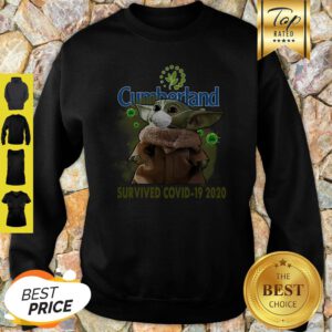 Baby Yoda Cumberland Survived Covid-19 2020 Sweatshirt