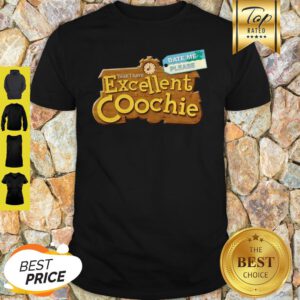 Date Me Please Yeah I Have Excellent Coochie Shirt