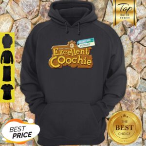 Date Me Please Yeah I Have Excellent Coochie Hoodie